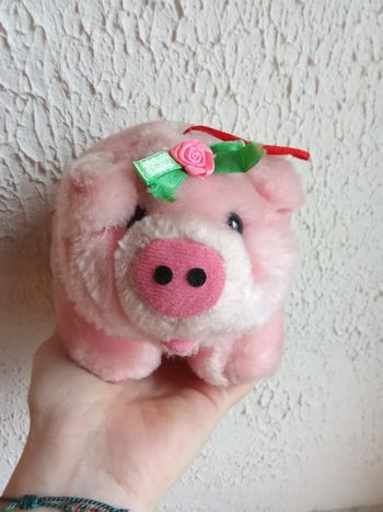 Petite peluche cochon