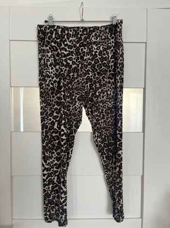 Legging