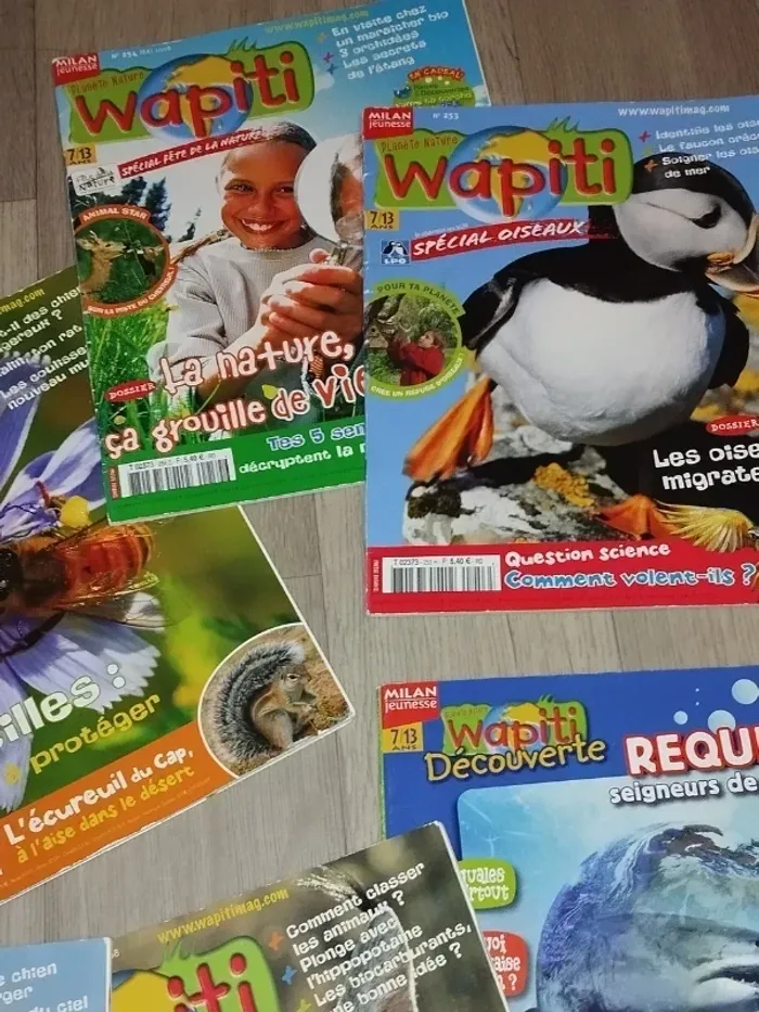 Lot de 7 magazines Wapiti année 2008 L024 - photo numéro 7