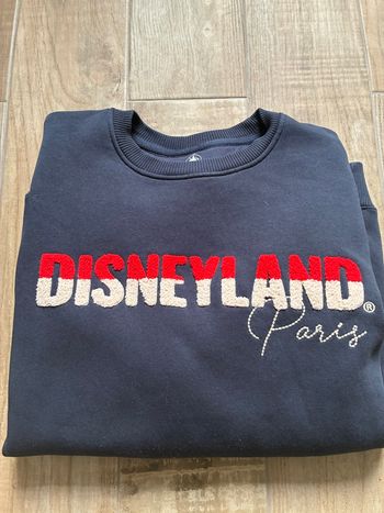 Sweat Disneyland Paris