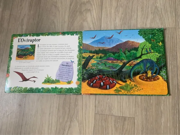Dinopuzzle - Anne Sharp - Un livre-puzzle seuil jeunesse - photo numéro 7