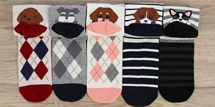 Lot 5 paires de chaussettes neuves