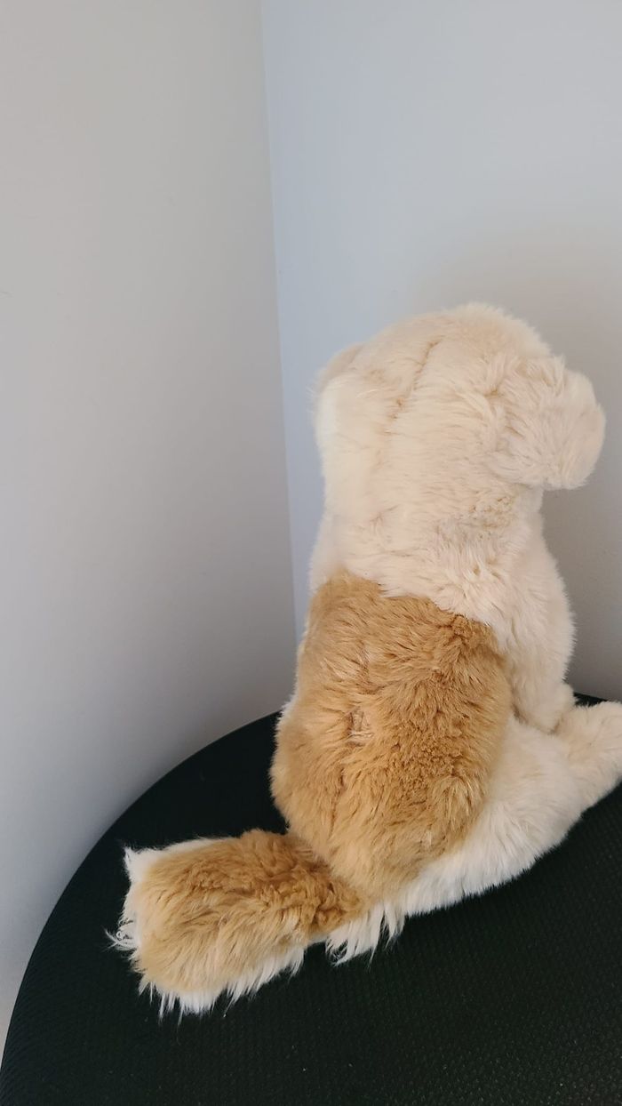 doudou chien - photo numéro 4