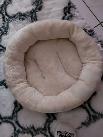 lit pour chien ou chat amazon