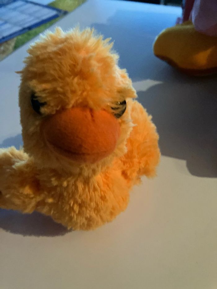 Canard orange