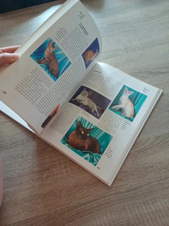 Livre " les chats , ces compagnons de jeu aux pattes de velours " - photo numéro 10