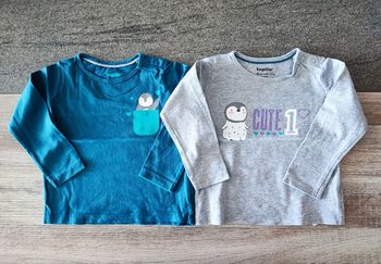 T-shirts pingouin