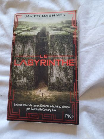 Le labyrinthe James Dashner