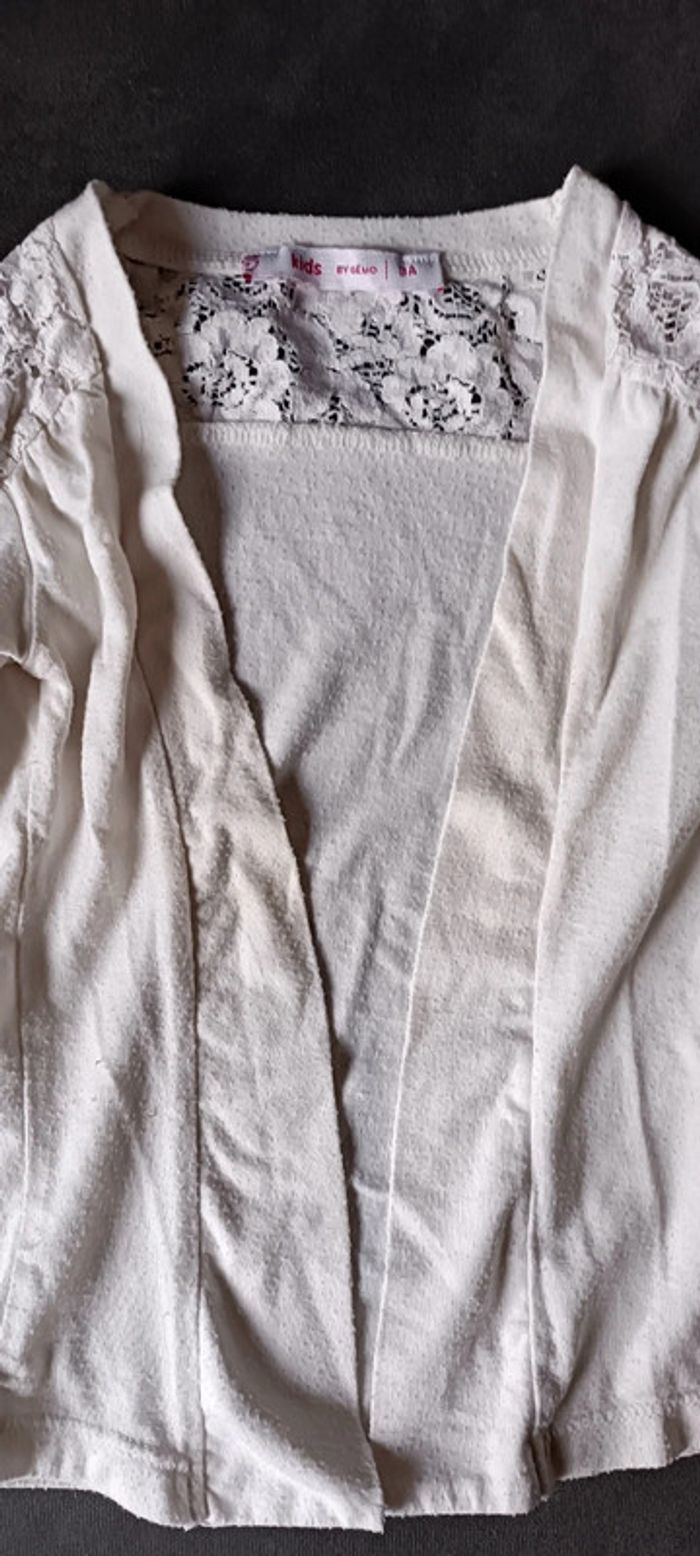 Lot de 2 gilets 3 ans - photo numéro 3