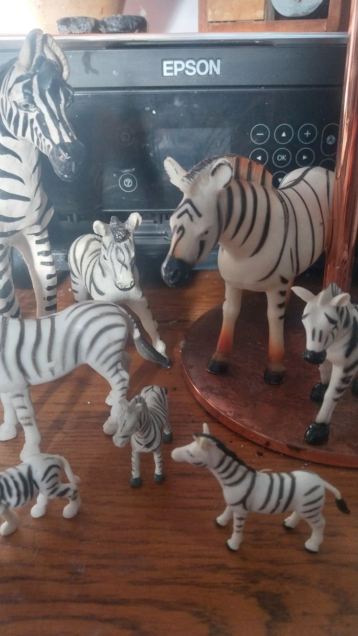 Lot zèbres - photo numéro 5