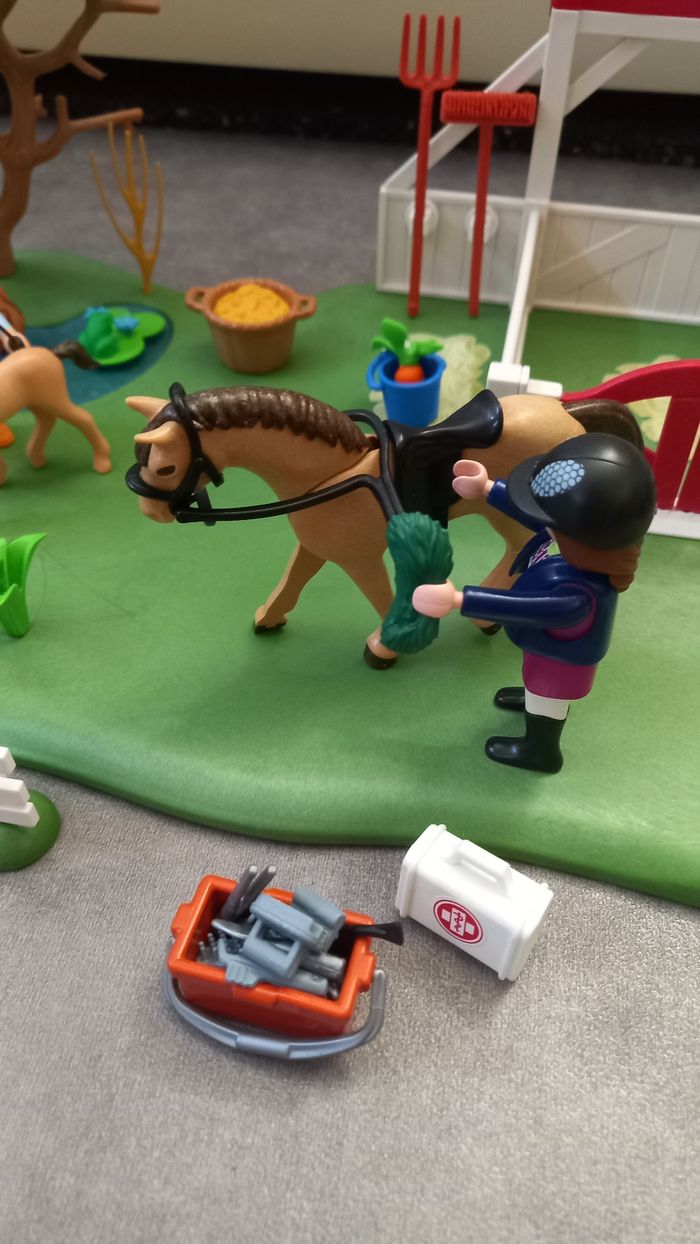 Playmobil Country - photo numéro 2
