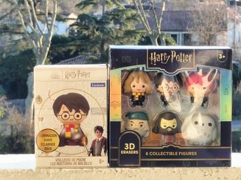 Harry Potter figurines collector gomme et veilleuse de poche Harry Potter 3d led 