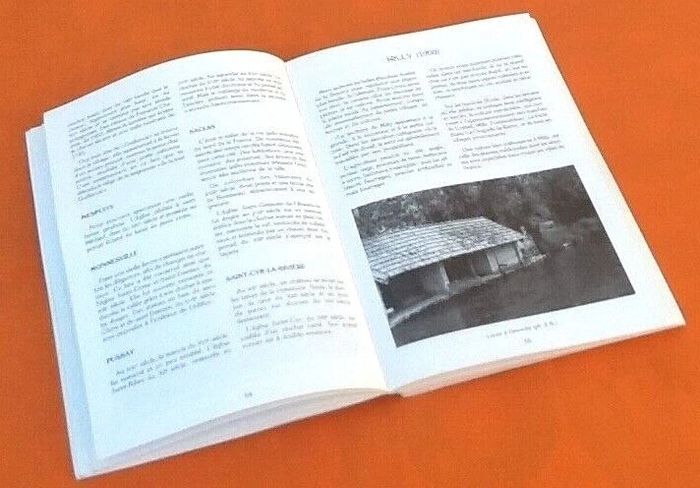 Erika Bongini / Jean-Michel Vechambre Hier- Aujourd' hui L' Essonne - photo numéro 7