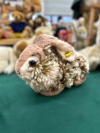 Steiff dormy