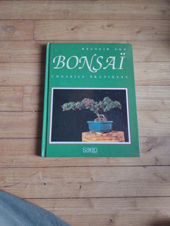 Réussir son bonsaï