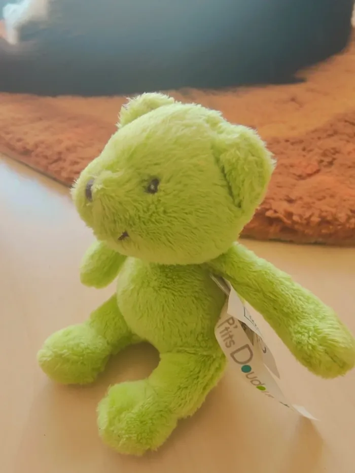 Petit ours vert - photo numéro 3