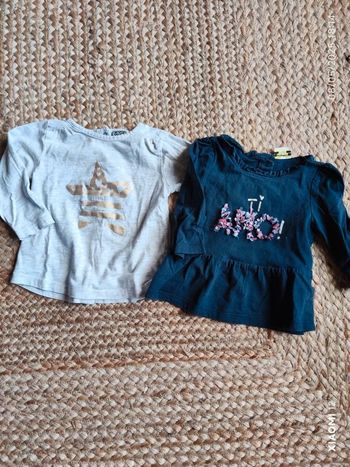 Lot 2 tee shirt TAO ML 9 mois