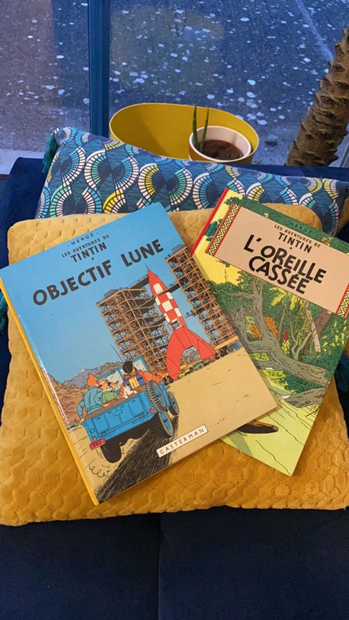 Lot de 2 livres collector tintin
