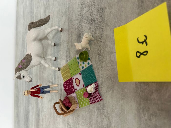 cavalière schleich cheval chien picnic avec accessoires