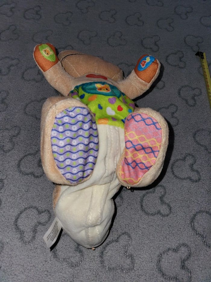 Kangourou vetch - photo numéro 4