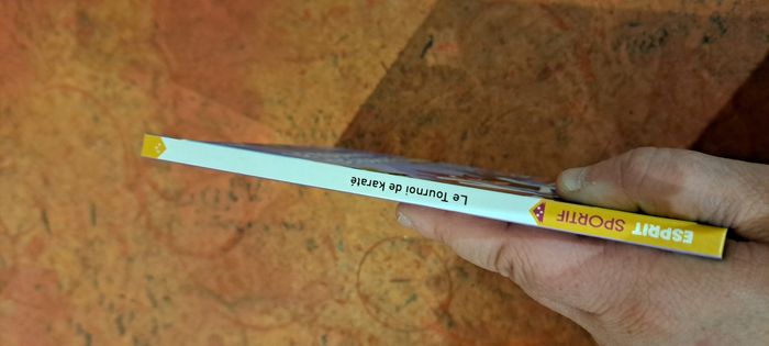 Livre le tournoi de karaté - photo numéro 2