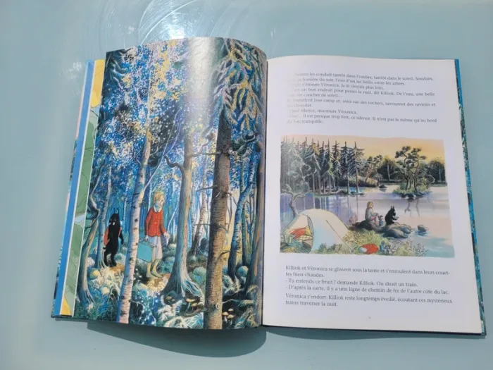 Livre couverture rigide, grand format, l'école des loisirs, La Grande Forêt, le pays des Chintiens - photo numéro 6