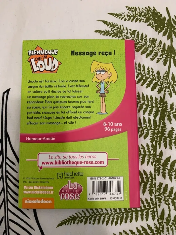 Livre bienvenue chez les loud - photo numéro 2