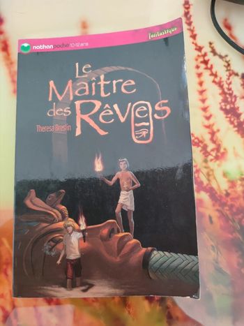 Livre / le maître des rêves/ Theresa breslin