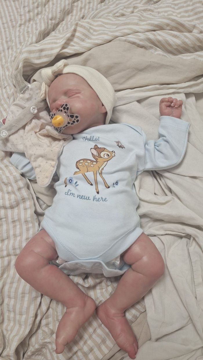 Bébé reborn à l'adoption - photo numéro 3
