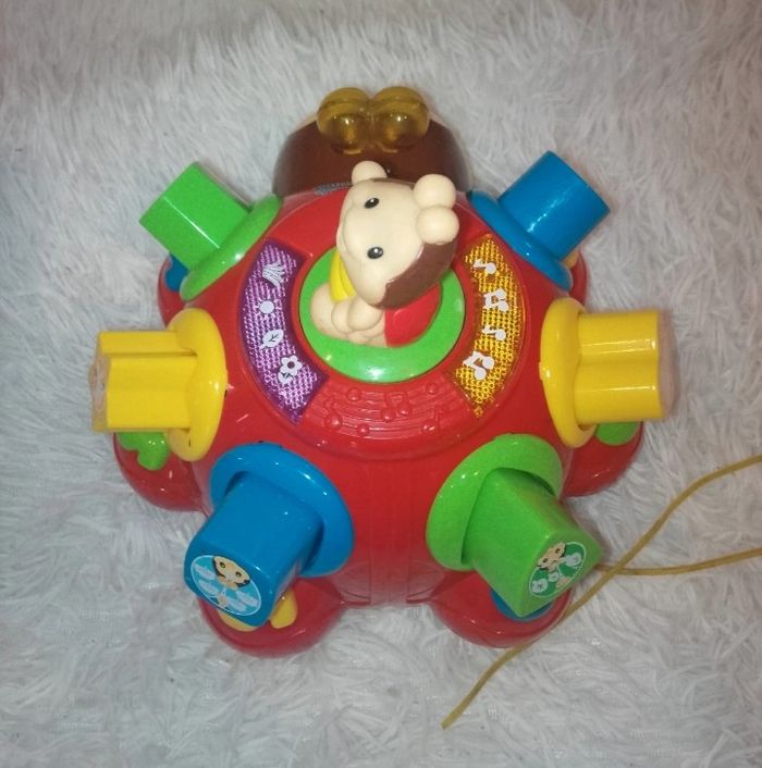 Coccinelle des formes - photo numéro 2