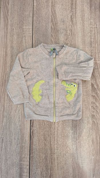 Veste crocodile