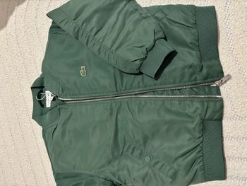 Bombers Lacoste neuf