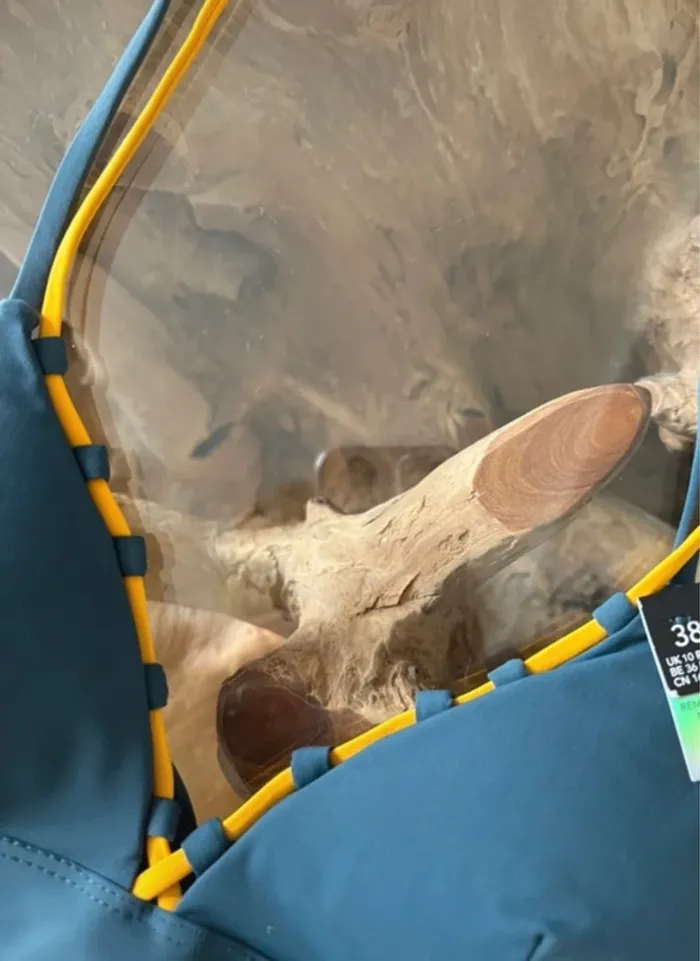 Haut de maillot de bain Etam femme bicolore triangle - photo numéro 5