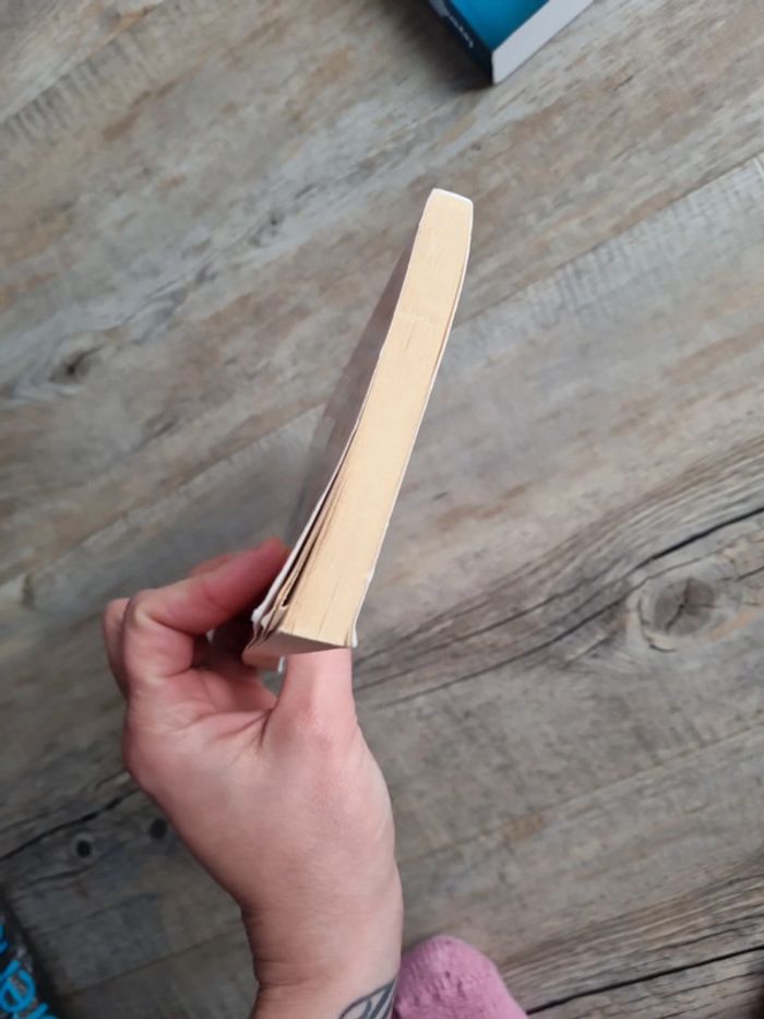 Livre - photo numéro 4