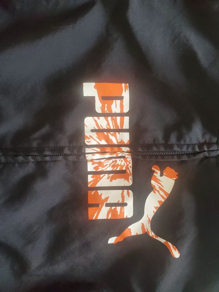 Veste - photo numéro 2