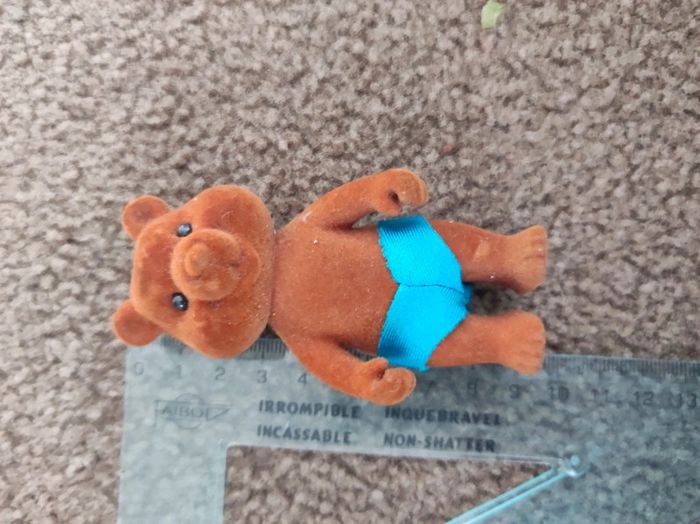 ours petit malin - photo numéro 2