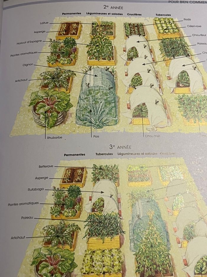 Le jardin surélevé - photo numéro 2