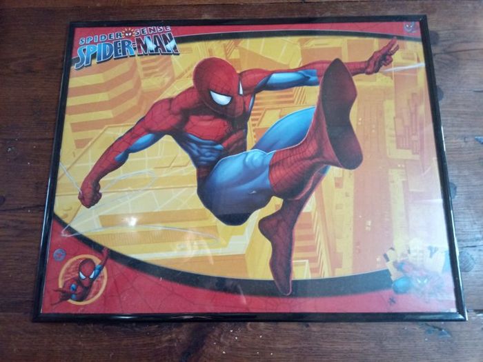 Cadre Spider-Man
