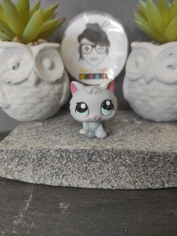 Littlest Petshop Pet Shop LPS chat snowshoe 1301 cat Kitten #geektradelpschat