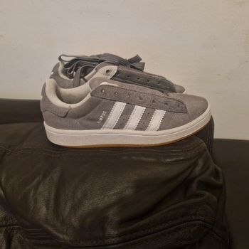 Adidas campus grise
