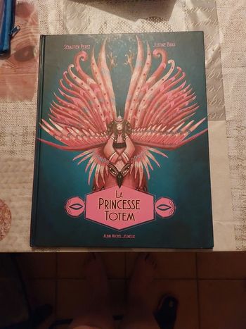 Livre La princesse totem