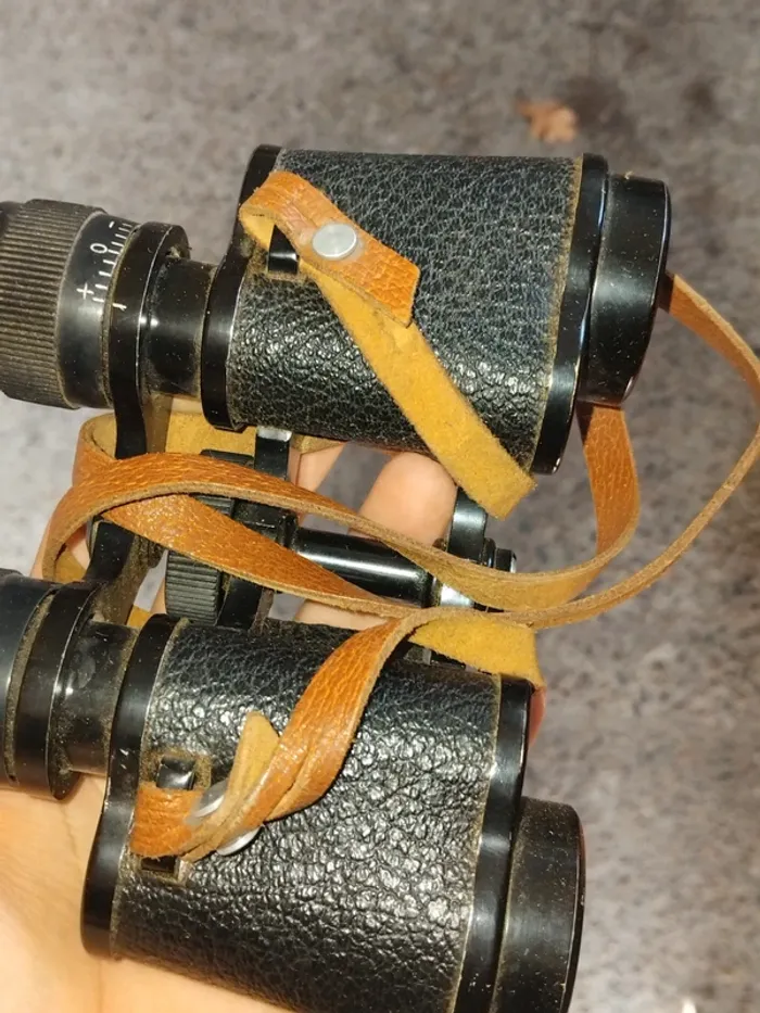 Jumelle - photo numéro 3