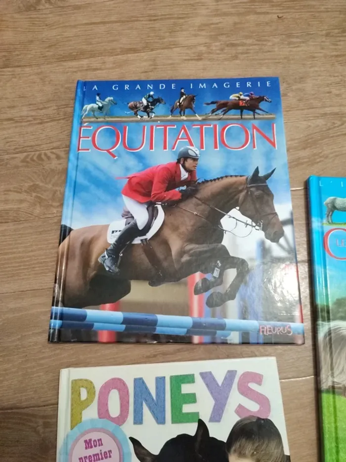 Livres thème equitation - photo numéro 2