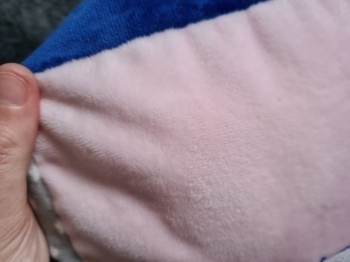 Chien activité - photo numéro 3