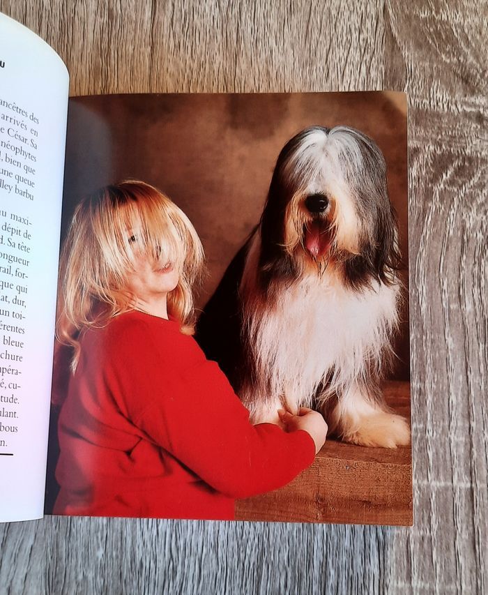 Chiens de Yann Arthus-Bertrand - photo numéro 3