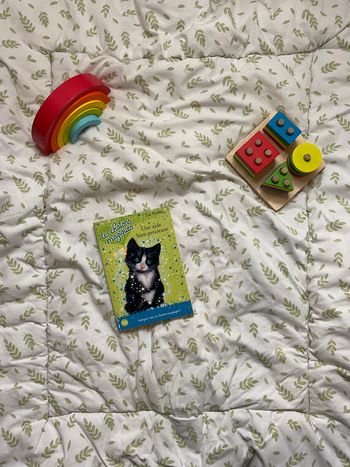 livre les chatons magiques une aide bien précieuse tome 1858