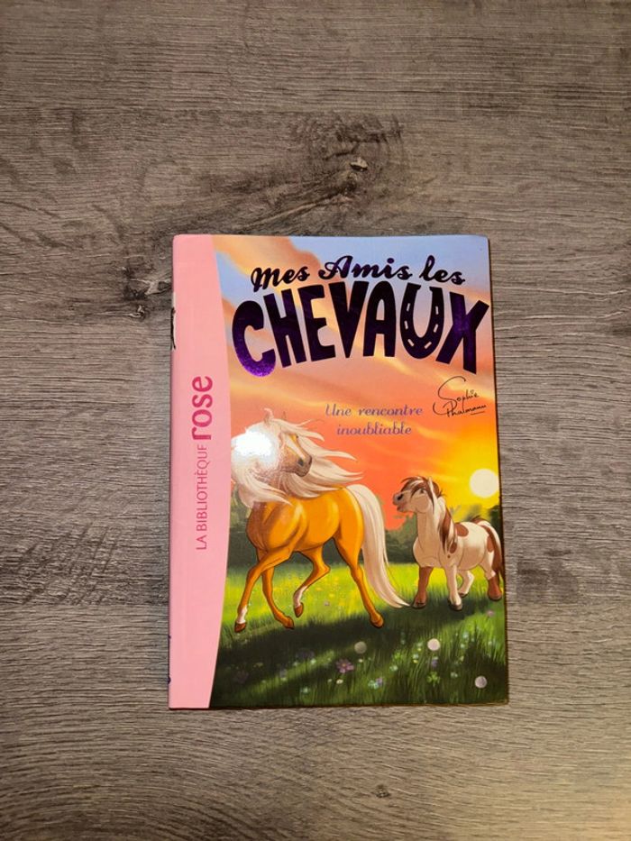 Livre mes amis les chevaux