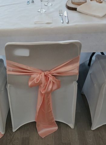 Lot 40 Nœuds pour chaises