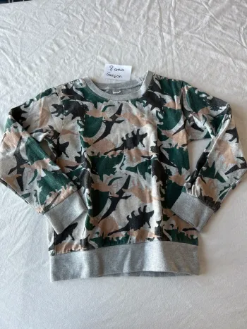 Sweat dinosaure