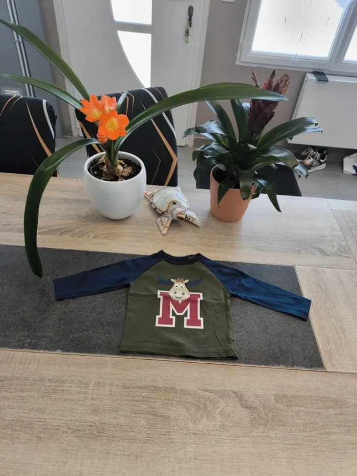Tee-shirt garçon ml 6 mois Zeeman